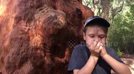 Australian boy mimics the didgeridoo with just his hands.