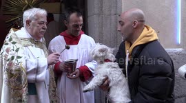 Priest blesses pets in Spanish church