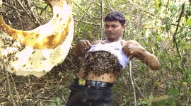 Honey collector stuffs thousands of bees under his T-shirt