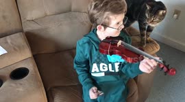 'Curious' cat interrupts boy's violin practice