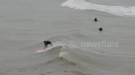 Hastings Pier Surfers are Fit