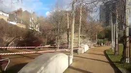 Massive tree collapses in London park