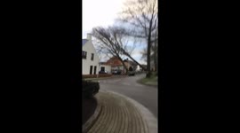 Storm in netherlands versus tree