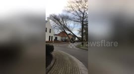 Newsflare Edit - Storm in netherlands versus tree