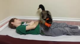 Doctors office shenanigans