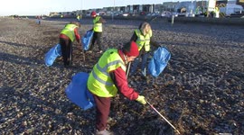 Plastic litter being removed for beach