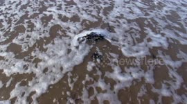 Plastic litter being removed from the beach (with music track)
