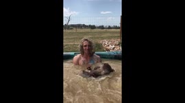 Just a wombat in a jacuzzi