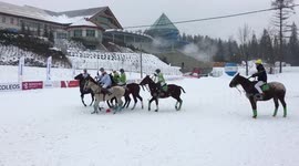 Who knew snow polo existed?