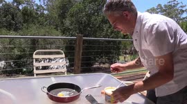Cooking an egg during a heatwave with just the sun and a frying pan