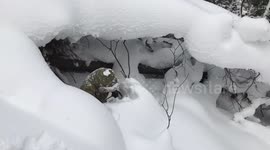 Powder is too deep to get up downhill skiing!