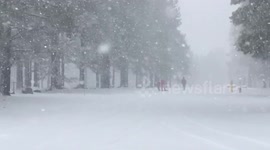 Heavy snow falling in Flagstaff, Arizona