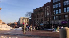 T-Rex Gathering in Portland, Maine
