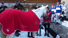 The best playing pony!
