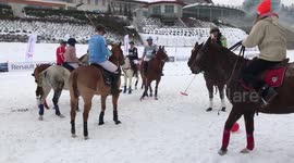 Snow Polo Teamwork!