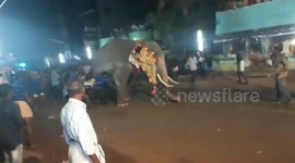 Terrifying moment elephant runs amok India temple festival