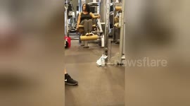 Newsflare Edit - You are doing it wrong! Gym workout.
