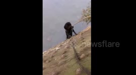 Passerby rescues two dogs trapped in cold river