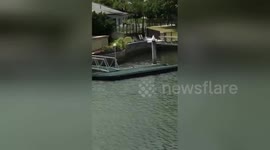 BLEEPED: Australian man excitedly sees dolphins in a canal