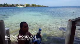 How To Snorkel With A Full Face Snorkel Mask - Tips for Easy Snorkeling!