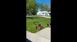 Dog attacks lawnmower