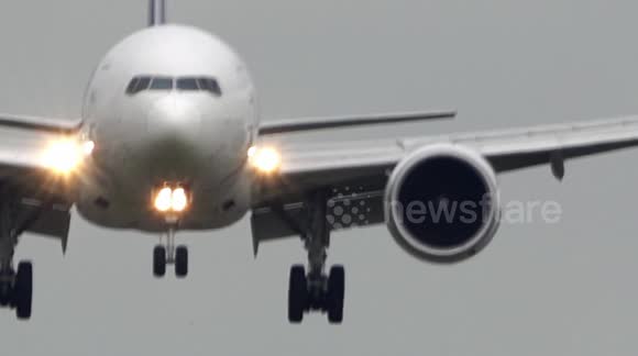 Boeing 777 makes safe landing at Amsterdam airport after bird strike