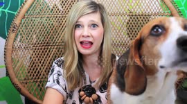 DIY Dog Collar & Hacks