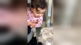 Newsflare Edit - Little girl's adorable reaction to meeting newborn sister for the first time