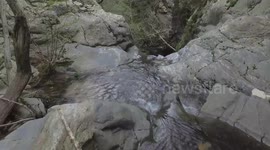 parque natural del montseny,gorgs