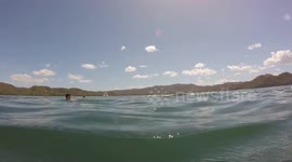 Whale of a Tail to Tell Part II
