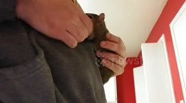 Pet Squirrel Loves to Cuddle!