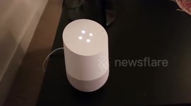 Google Home fails to resolve couple's UK/US spelling argument