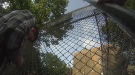 New York street basketball