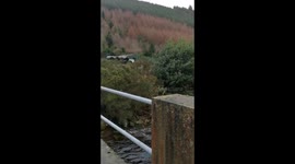 Carrawaystick Waterfall
