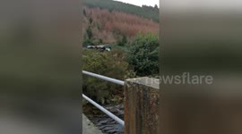 Newsflare Edit - Carrawaystick Waterfall