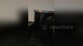 Newsflare Edit - When you check your grandad through with Ryanair at Dublin Airport