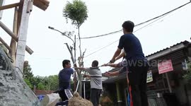 CUTTING THE TREE