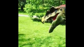 Dinosaurs in the park