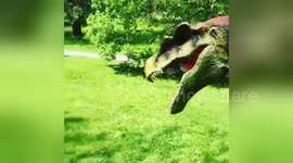 Newsflare Edit - Dinosaurs in the park