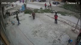 Freak accident: tree falls directly into path of motor scooter