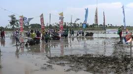 Indonesian farmers host tractor mud race at start of rice planting season