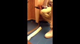 Drains Overflow on Carnival Triumph Cruise
