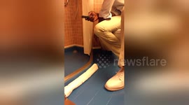 Newsflare Edit - Drains Overflow on Carnival Triumph Cruise