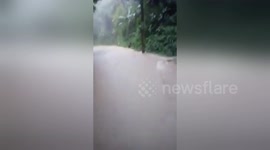 Newsflare Edit - The Power of Rain