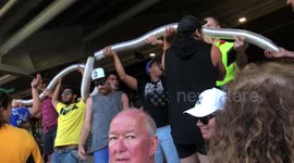 Beer snake fail