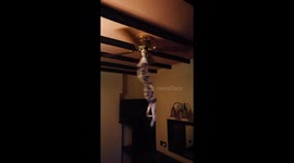 Spin bra spin