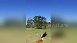 Ball dropped from 150-ft-high drone floors boy