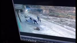Terrifying wild boar rampage kills one and injures another
