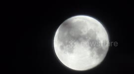 Plane and birds fly past the supermoon in London