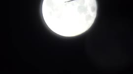 Plane and birds fly past the supermoon in London